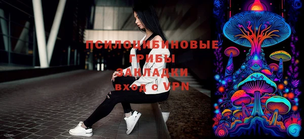 крисы Алзамай