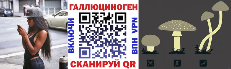 Галлюциногенные грибы MAGIC MUSHROOMS  мега ТОР  Борзя 