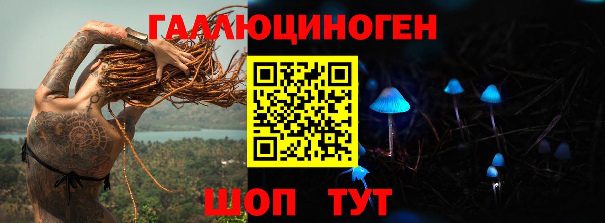 Борзя  Галлюциногенные грибы мицелий  Галлюциногенные грибы прущие грибы  Вход с VPN 